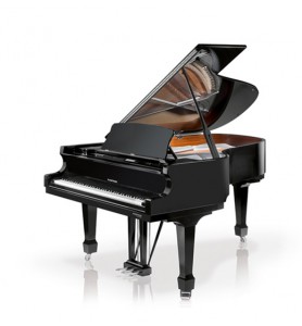 Photo W. Hoffmann Professional P162